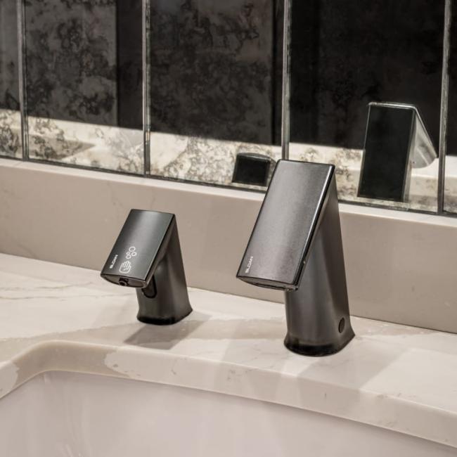 BASYS Faucet and Soap Dispenser