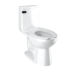 Sloan Gravity Toilet 10” rough in